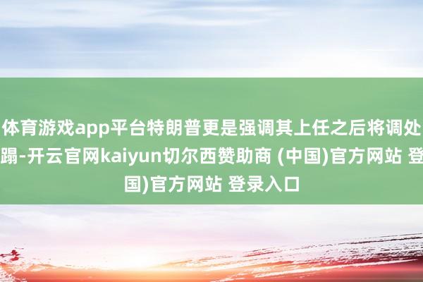 体育游戏app平台特朗普更是强调其上任之后将调处俄乌糟蹋-开云官网kaiyun切尔西赞助商 (中国)官方网站 登录入口
