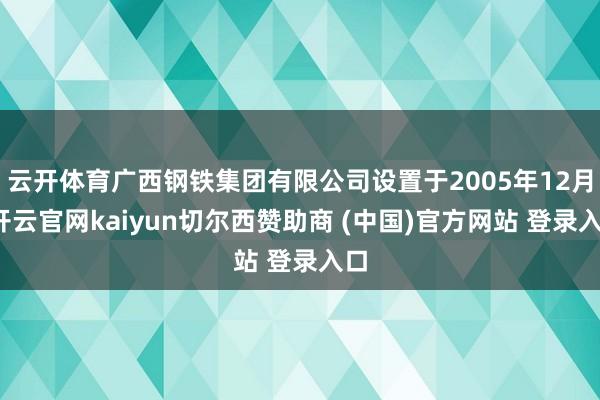云开体育广西钢铁集团有限公司设置于2005年12月-开云官网kaiyun切尔西赞助商 (中国)官方网站 登录入口