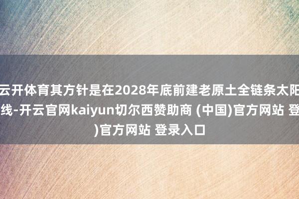 云开体育其方针是在2028年底前建老原土全链条太阳能坐蓐线-开云官网kaiyun切尔西赞助商 (中国)官方网站 登录入口