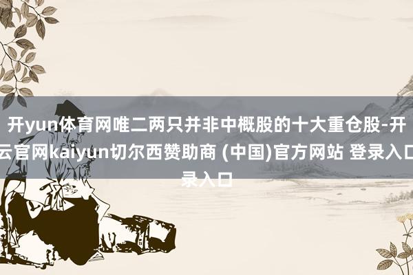 开yun体育网 唯二两只并非中概股的十大重仓股-开云官网kaiyun切尔西赞助商 (中国)官方网站 登录入口