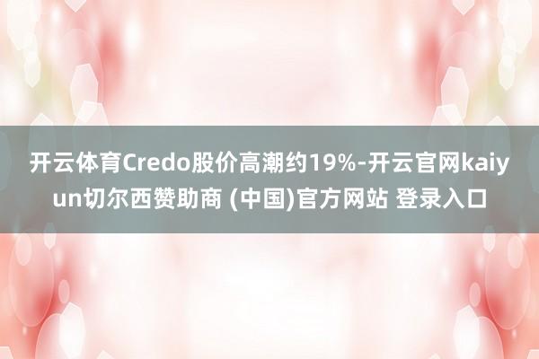 开云体育Credo股价高潮约19%-开云官网kaiyun切尔西赞助商 (中国)官方网站 登录入口