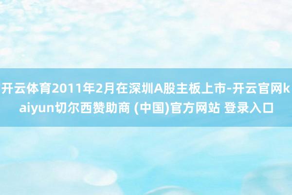 开云体育2011年2月在深圳A股主板上市-开云官网kaiyun切尔西赞助商 (中国)官方网站 登录入口