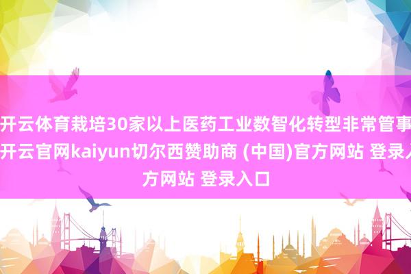 开云体育栽培30家以上医药工业数智化转型非常管事商-开云官网kaiyun切尔西赞助商 (中国)官方网站 登录入口