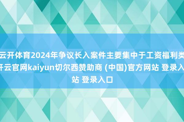 云开体育2024年争议长入案件主要集中于工资福利类-开云官网kaiyun切尔西赞助商 (中国)官方网站 登录入口